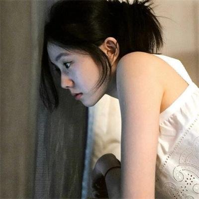 来自收容所的爱
